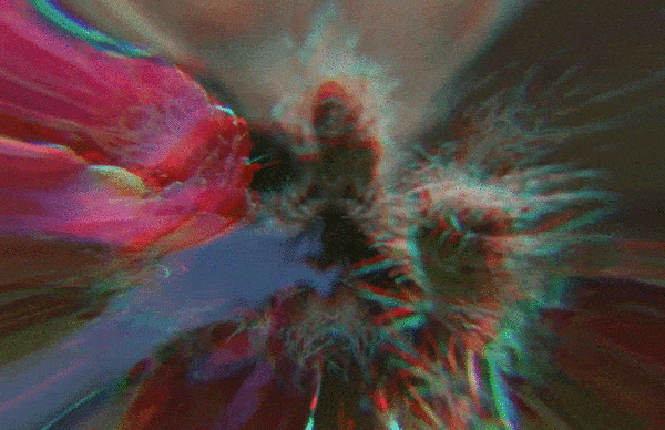 Cactus image GIF