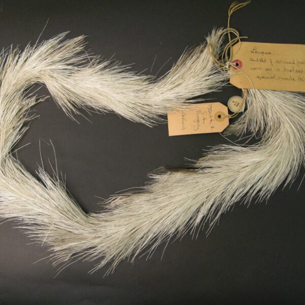 Ostrich feathers anklet ©Trustees of the British Museum