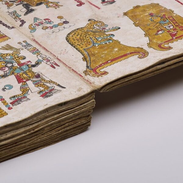 Tonindeye codex detail