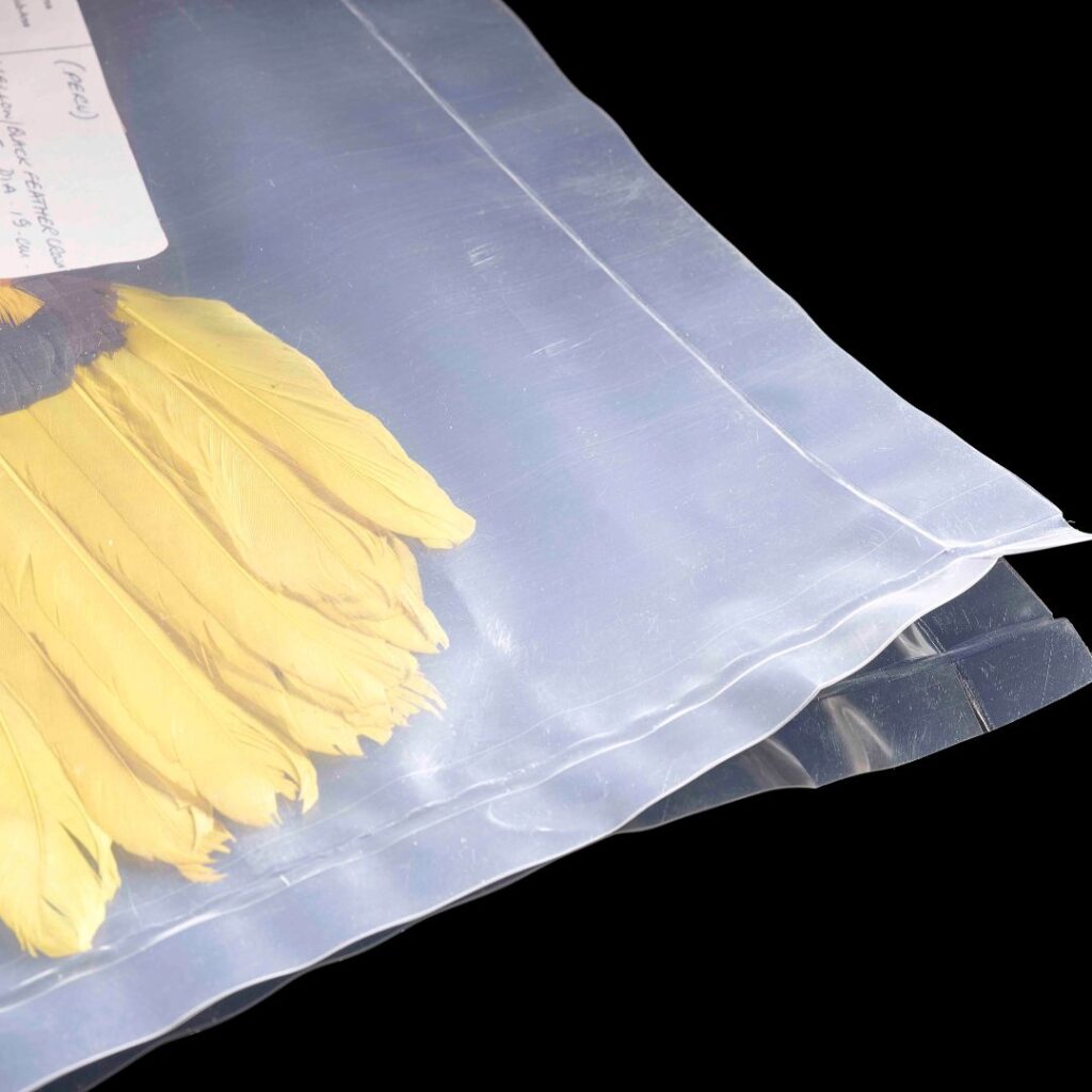 Corona de plumas amarillas dentro de una bolsa plástica