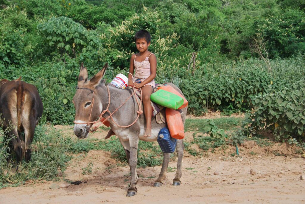 Photo of a little girl sitting on a donkey