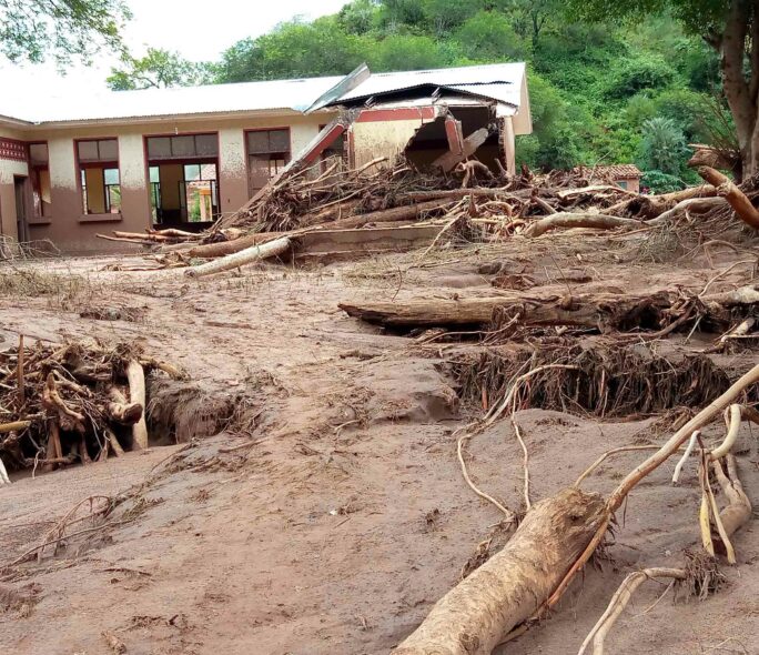 Photo of a building impacted by a flood and sorounded by broken tree trunks