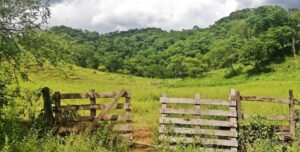 Photo of a wooden fence in a green landscape with a hill at the back